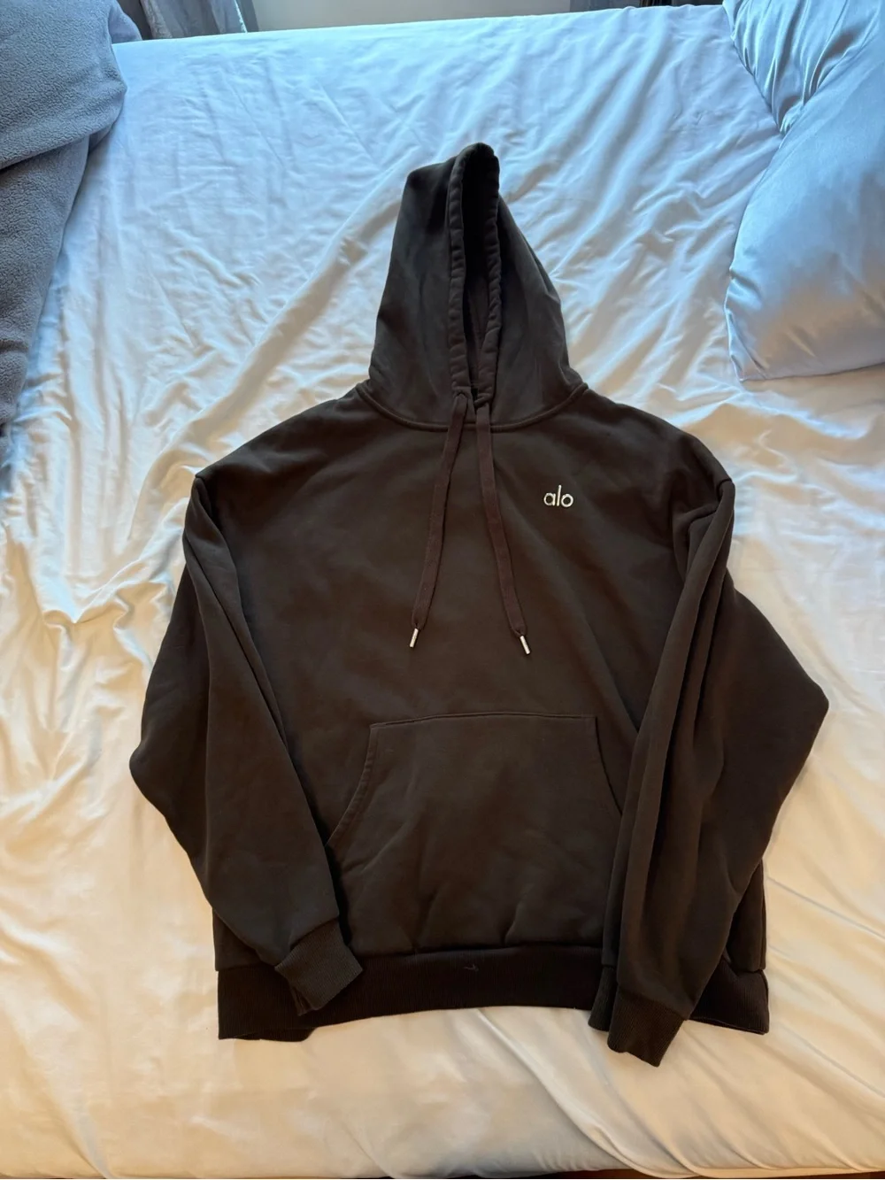 Alo Brown Hoodie Sweatshirt - Minimal Logo